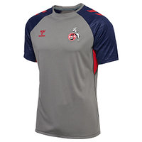 Trainingsshirt "Grau" 2024/25 Senior (1)