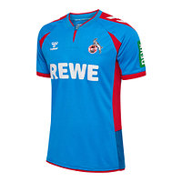 Torwart Sondertrikot "LP10" Senior (1)