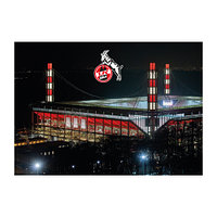 Puzzle "Stadion", 1.000 Teile (1)