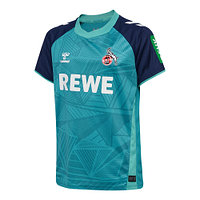 Ausweichtrikot 2024/25 Junior (1)