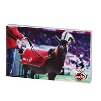 Magnet "Hennes" (1)