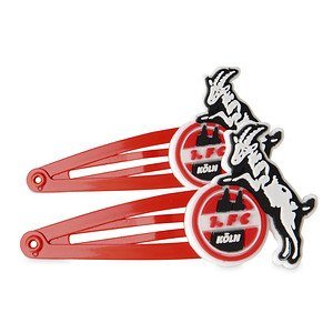 Haarspangen 2er Set