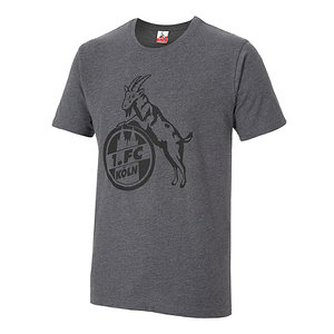 Herren T-Shirt "Basic anthra"