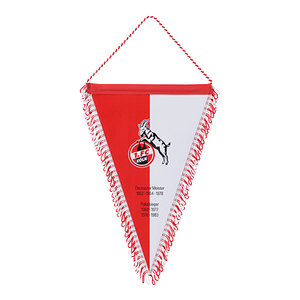 Schmuckwimpel "Logo" (28 cm)