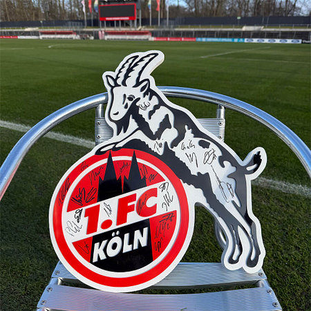 Sign. Wandlogo 3D (50 cm)