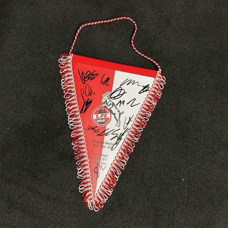 Sign. Schmuckwimpel "Logo"