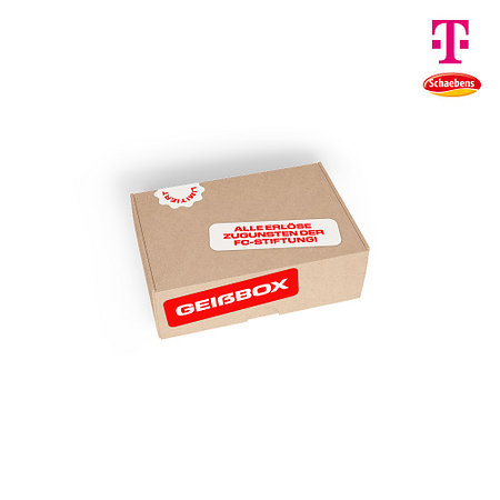 Mini Geißbox FC Frauen