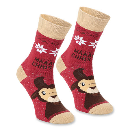 Schäbbisch Socken "Hennes"