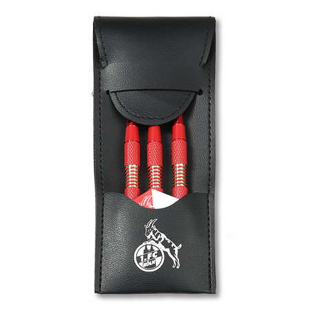 Dartpfeile & Etui