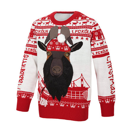 Kids Schäbbisch Pulli "Rut un wiess"