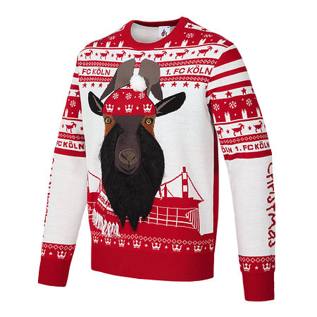 Schäbbisch Pulli "Rut un wiess"