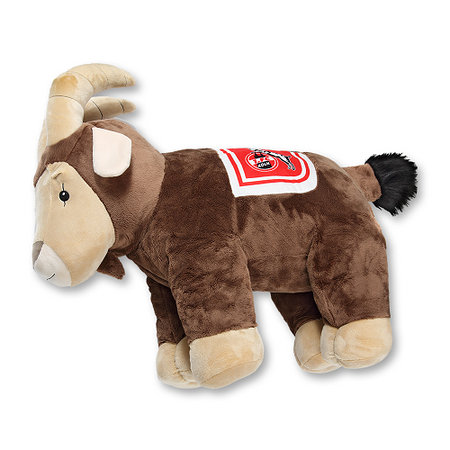 Hennes Kuschelkissen