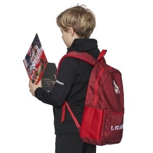 Sachbuch "1. FC Köln" Wie geht das?