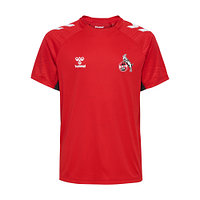 Trainingsshirt 2024/25 "Rot" Junior (6)