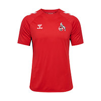 Trainingsshirt 2024/25 "Rot" Senior (6)