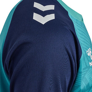 Ausweichtrikot 2024/25 Junior