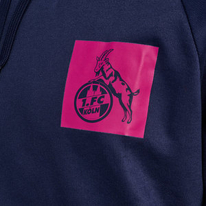 Lifestyle Hoodie 2024/25