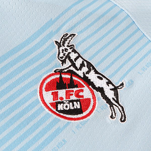 Ausweichtrikot 2023/24 Senior