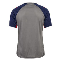 Trainingsshirt "Grau" 2024/25 Senior (2)