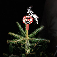Weihnachtsbaumspitze "Logo" (2)