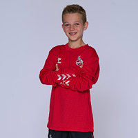 Trainings Sweatshirt Rot 2022/23 Junior (2)