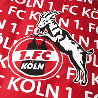 Wendebettwäsche 1. FC Köln rot (2)