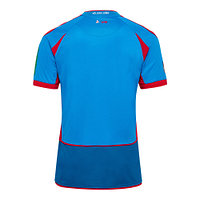 Torwart Sondertrikot "LP10" Senior (2)