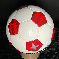 Offizieller Matchball "LP10" (2)