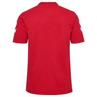 Poloshirt "Rot" 2024/25 Senior (2)