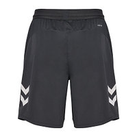 Trainingsshorts "Anthra" 2024/25 Senior (2)