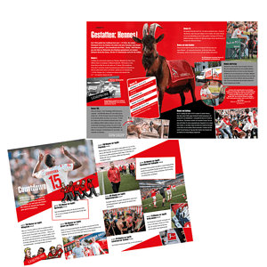 Sachbuch "1. FC Köln" Wie geht das?