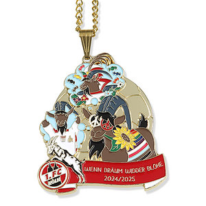 Damenkarnevalsorden 2025