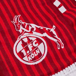 hummel Fanschal "Auswärts"