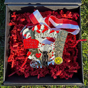 Spieltagsorden KOE:BVB