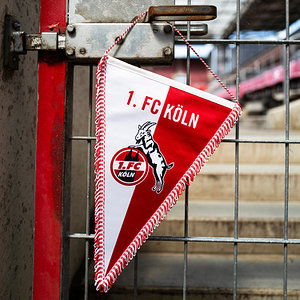 Satinette Wimpel "Logo" (38 cm)