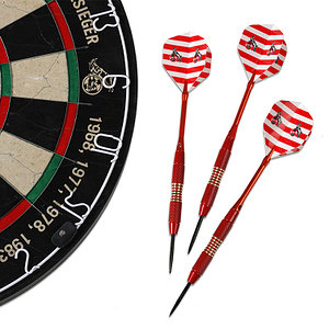 Turnier Dartscheibe & Pfeile