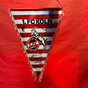 Signierter Schmuckwimpel "Logo" (28 cm)