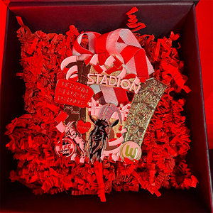 Spieltagsorden KOE:WOB