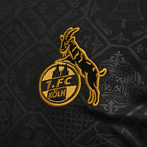 Ausweichtrikot 2025/26 Senior