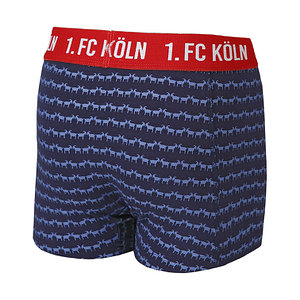 Kids Boxershorts "Am Puffelskooche"