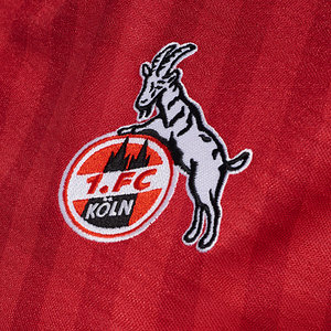 Auswärtstrikot 2025/26 Junior