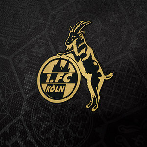 Aufwärmshirt "Schwarz" 2025/26 Senior