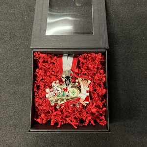 Spieltagsorden KOE:SVW