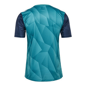 Aufwärmshirt 2024/25 "Ausweich" Senior