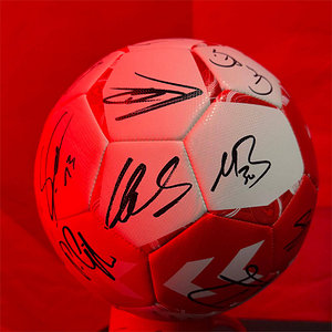 Mannschaftssignierter Hummelball Gr. 5