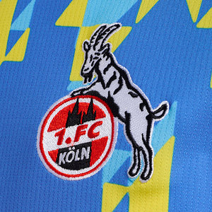 Torwarttrikot 2025/26 Senior