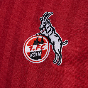 Auswärtstrikot 2025/26 Senior