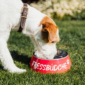 Futternapf "Fressbüdche" mittel, 350ml