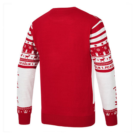 Schäbbisch Pulli "Rut un wiess"