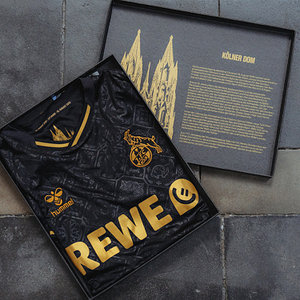 Ausweichtrikot 2025/26 Langarm